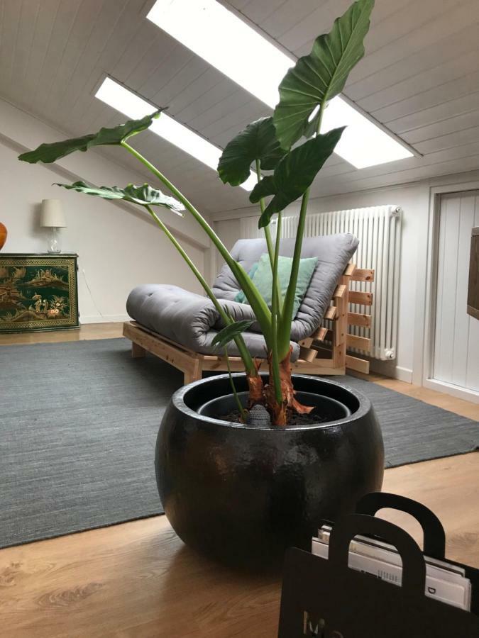Little Lio Apartment Cavallino-Treporti Bagian luar foto